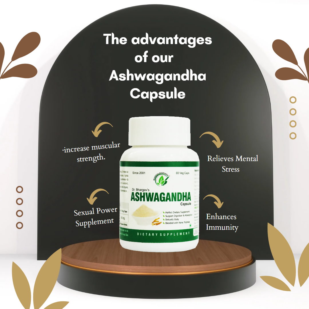 https://cdn.shopify.com/s/files/1/1857/6931/files/Lt3PpGKVzQ.png?v=1735216041