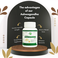 https://cdn.shopify.com/s/files/1/1857/6931/files/Lt3PpGKVzQ.png?v=1735216041