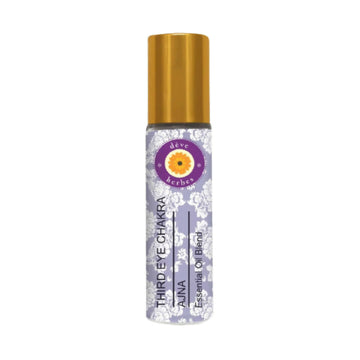 https://cdn.shopify.com/s/files/1/1857/6931/products/LuaBbNopEf.jpg?v=1762383114