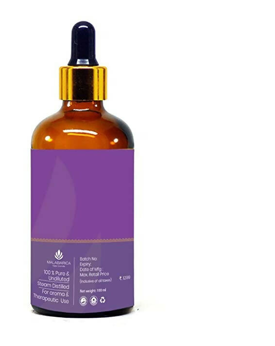 https://cdn.shopify.com/s/files/1/1857/6931/products/LvWMdHu489.jpg?v=1667644555
