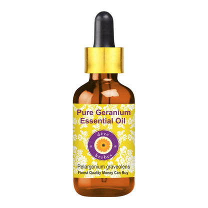 https://cdn.shopify.com/s/files/1/1857/6931/products/Lw78M3ACcP.jpg?v=1762382700