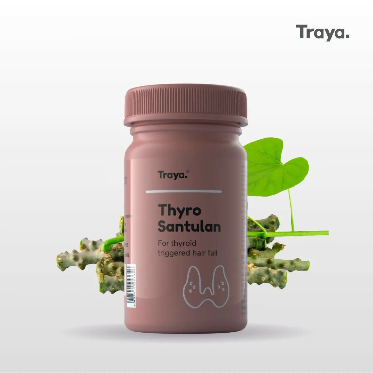 https://cdn.shopify.com/s/files/1/1857/6931/files/LwshVCdkLn.jpg?v=1767781550
