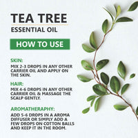 https://cdn.shopify.com/s/files/1/1857/6931/files/Ly5odn9TpE.jpg?v=1731582532