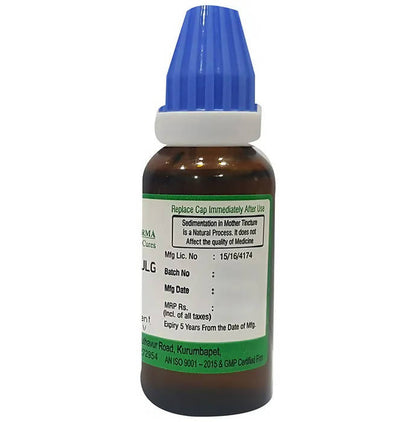 https://cdn.shopify.com/s/files/1/1857/6931/products/Lz5MbW0Mn0.jpg?v=1660134412