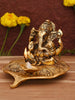 https://cdn.shopify.com/s/files/1/1857/6931/products/M1Ag3gYOon.jpg?v=1762424909