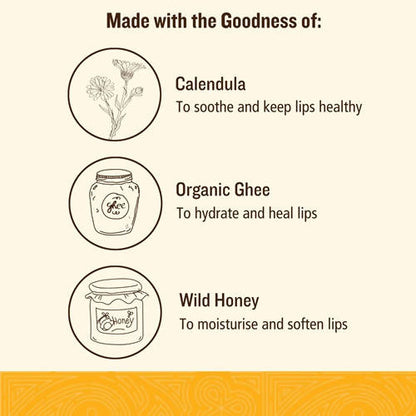 https://cdn.shopify.com/s/files/1/1857/6931/products/M2hnqWzl8d.jpg?v=1629449172