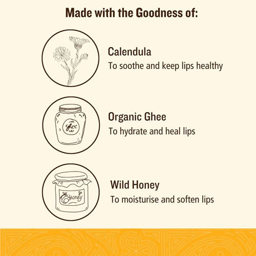 https://cdn.shopify.com/s/files/1/1857/6931/products/M2hnqWzl8d.jpg?v=1629449172
