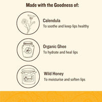 https://cdn.shopify.com/s/files/1/1857/6931/products/M2hnqWzl8d.jpg?v=1629449172