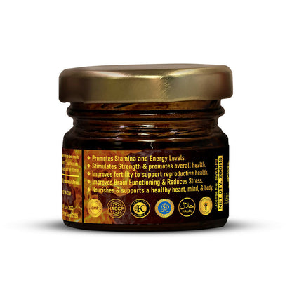 https://cdn.shopify.com/s/files/1/1857/6931/files/M2j1ewKxBd.jpg?v=1761375726