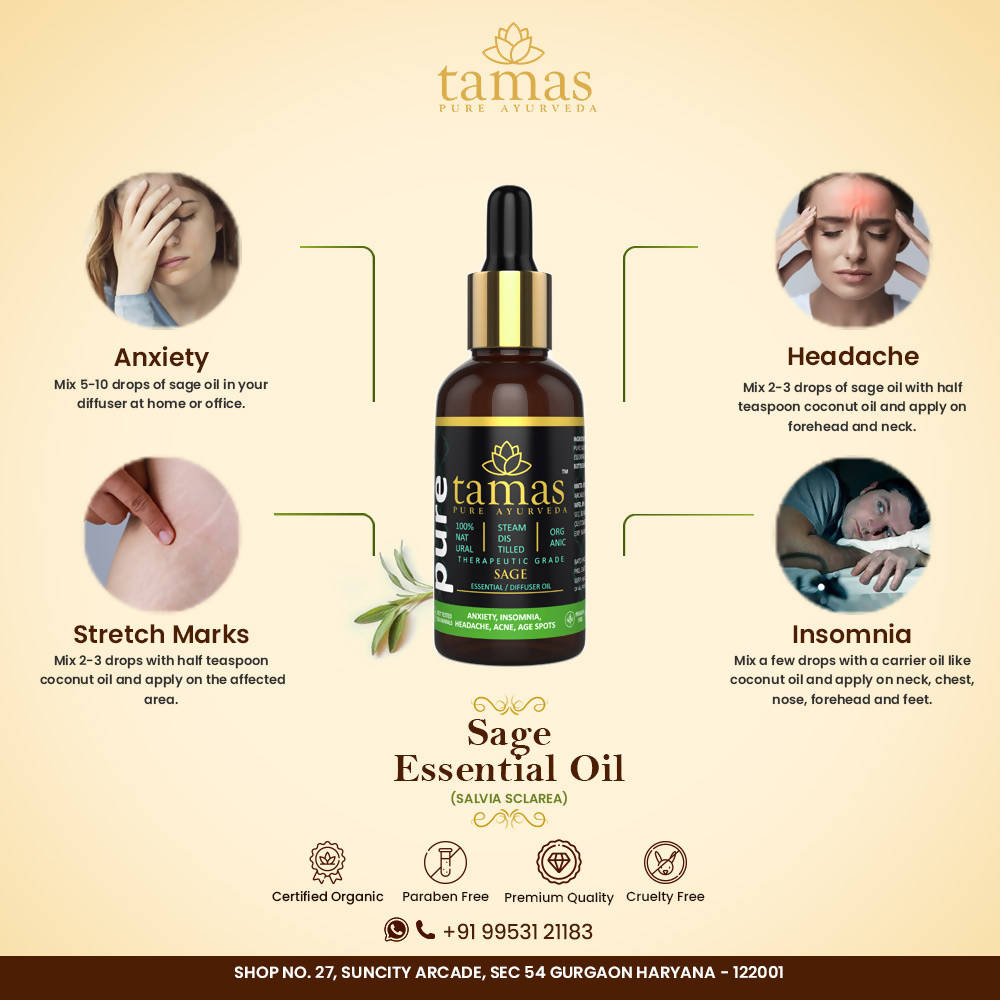 https://cdn.shopify.com/s/files/1/1857/6931/products/M4guGMeKA8.jpg?v=1626402536