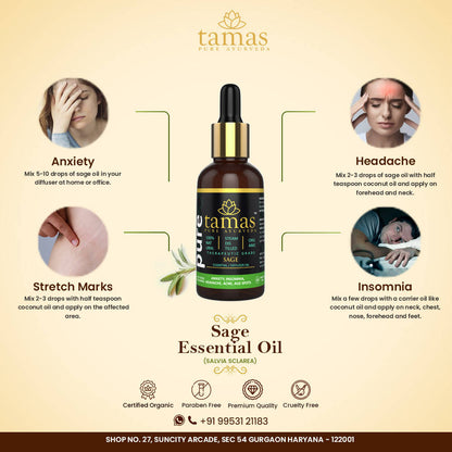https://cdn.shopify.com/s/files/1/1857/6931/products/M4guGMeKA8.jpg?v=1626402536