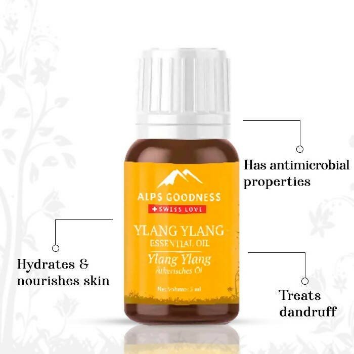 https://cdn.shopify.com/s/files/1/1857/6931/files/M7ZgcS1yxr-713821.jpg?v=1736146741