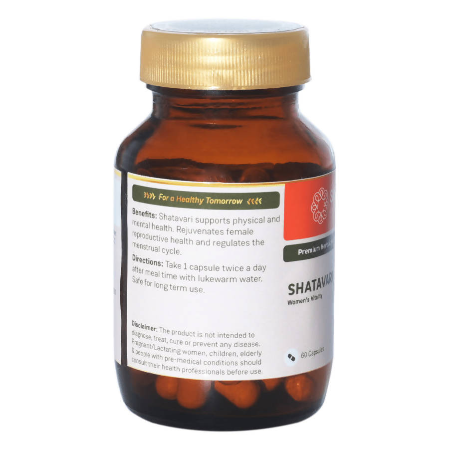 https://cdn.shopify.com/s/files/1/1857/6931/products/M7hZqNKRtB.jpg?v=1640777148