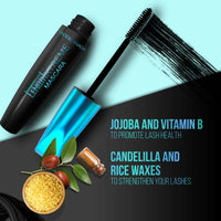 https://cdn.shopify.com/s/files/1/1857/6931/products/M8xKrg1z5y.jpg?v=1696511438