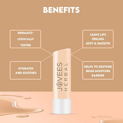 https://cdn.shopify.com/s/files/1/1857/6931/files/MAiqsk1ZwV.png?v=1736400793