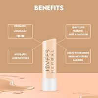https://cdn.shopify.com/s/files/1/1857/6931/files/MAiqsk1ZwV.png?v=1736400793