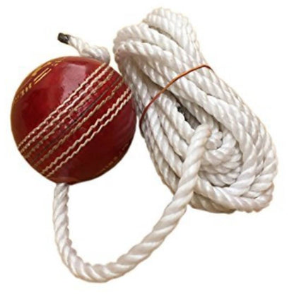 https://cdn.shopify.com/s/files/1/1857/6931/products/MBULqvXAVr.jpg?v=1762434384