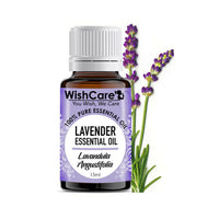 https://cdn.shopify.com/s/files/1/1857/6931/products/MCfua9XiAl.jpg?v=1686142658