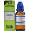 https://cdn.shopify.com/s/files/1/1857/6931/products/MEuKQoqDoU.jpg?v=1635937080