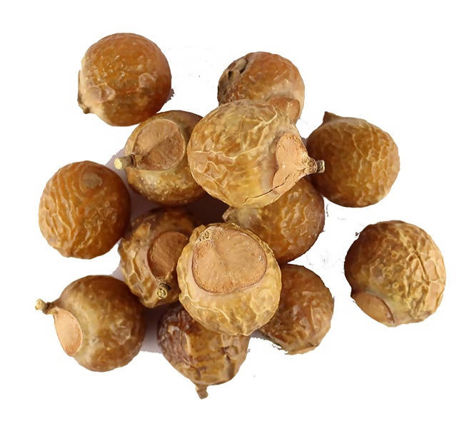 https://cdn.shopify.com/s/files/1/1857/6931/products/MHWL9P9CA2.jpg?v=1623983679