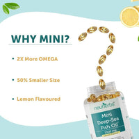 https://cdn.shopify.com/s/files/1/1857/6931/products/MI0uASTpJD.jpg?v=1697633055