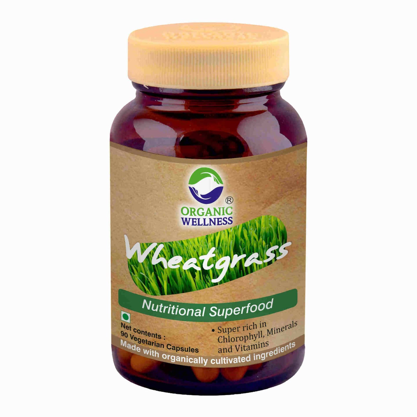 https://cdn.shopify.com/s/files/1/1857/6931/products/MOJjicObfU.jpg?v=1762392358