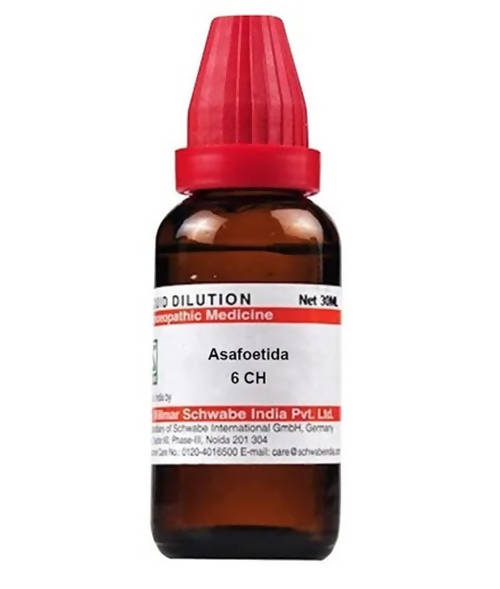 Image 1 of 6 CH / 30 ml for the product Dr. Willmar Schwabe India Asafoetida Dilution
