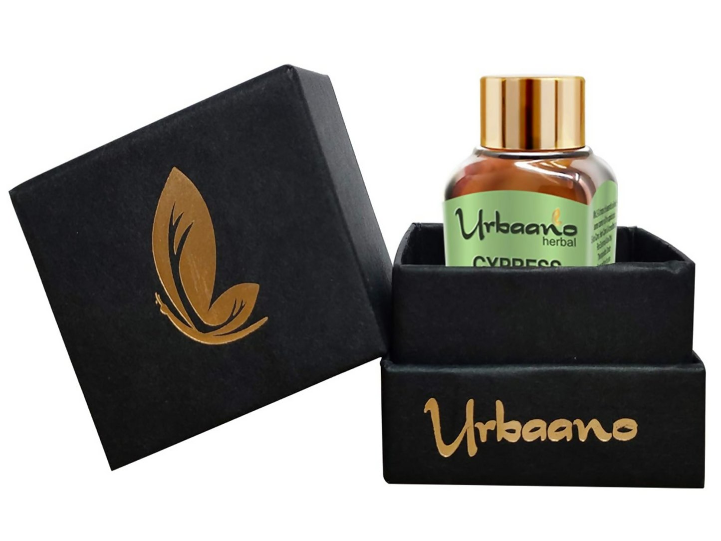 https://cdn.shopify.com/s/files/1/1857/6931/files/MROU7OOc2D.png?v=1746598308