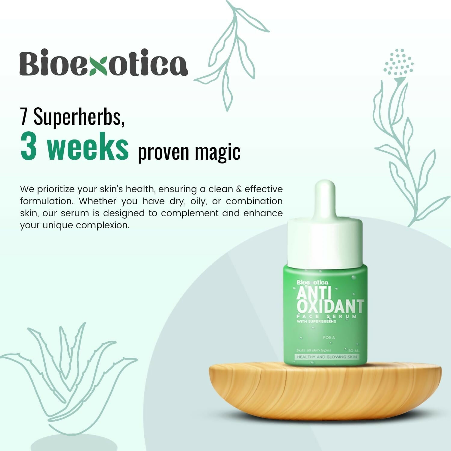 https://cdn.shopify.com/s/files/1/1857/6931/files/MTzeoi18Xq.jpg?v=1728132258