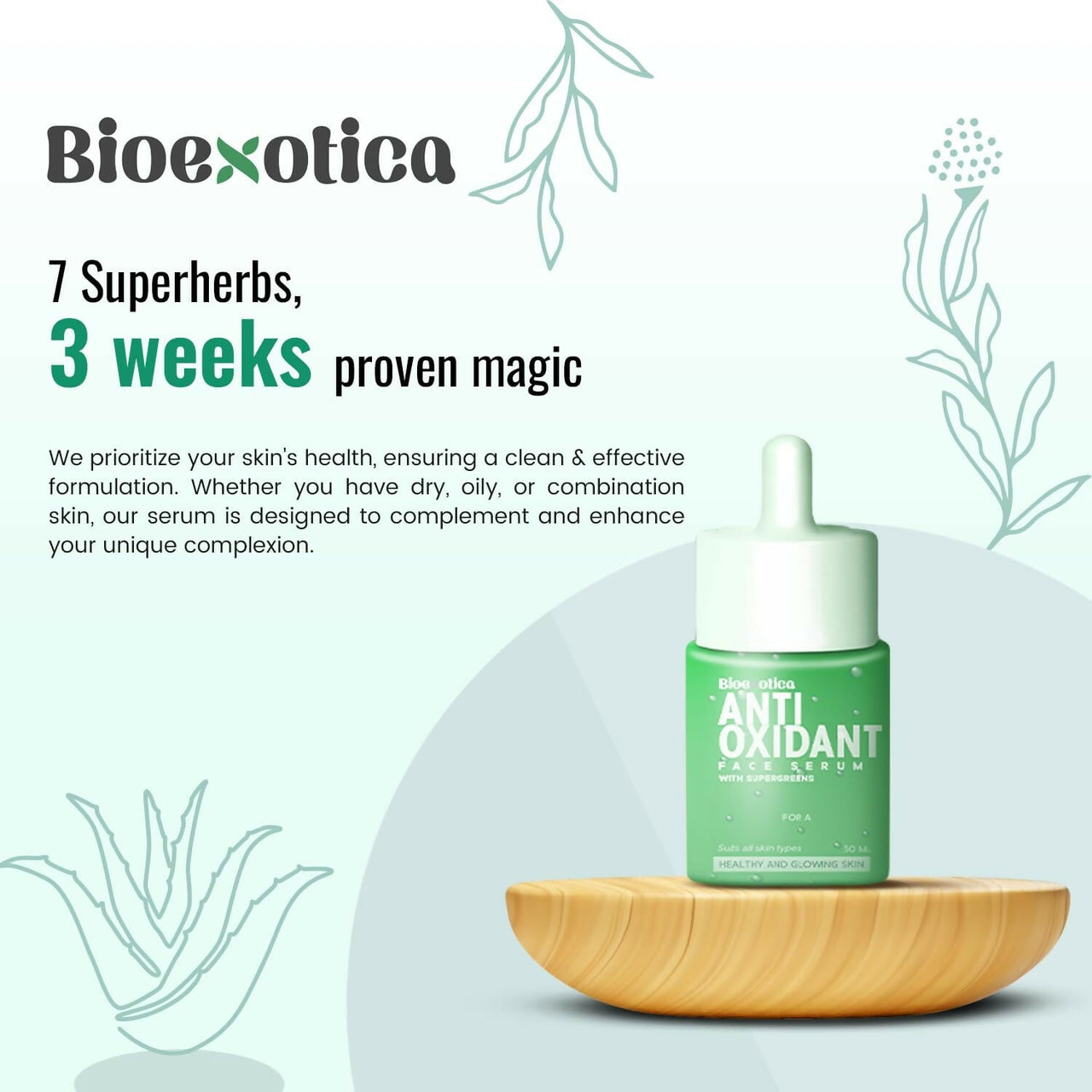 https://cdn.shopify.com/s/files/1/1857/6931/files/MTzeoi18Xq.jpg?v=1728132258