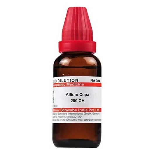 https://cdn.shopify.com/s/files/1/1857/6931/products/MUPKVCKnvZ.jpg?v=1641388561