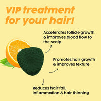 https://cdn.shopify.com/s/files/1/1857/6931/products/MV1pvwIInb.jpg?v=1683291394