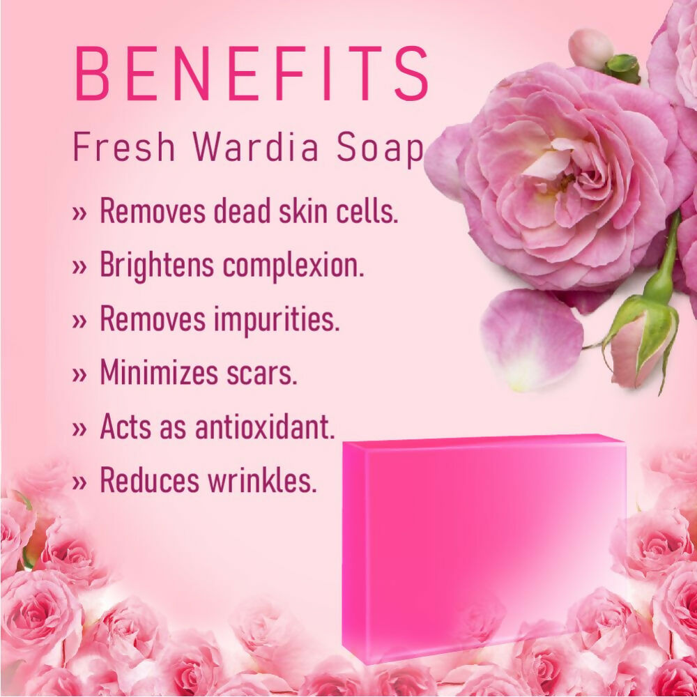 https://cdn.shopify.com/s/files/1/1857/6931/files/MW1NdKJwol.jpg?v=1715003121
