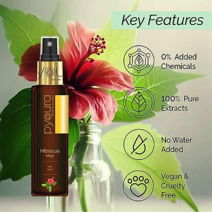 https://cdn.shopify.com/s/files/1/1857/6931/files/MXgxcJYMjI.png?v=1731317850