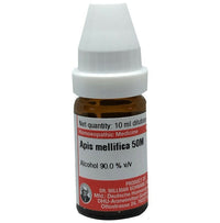 https://cdn.shopify.com/s/files/1/1857/6931/files/MXjcjdiFm7.jpg?v=1720180685