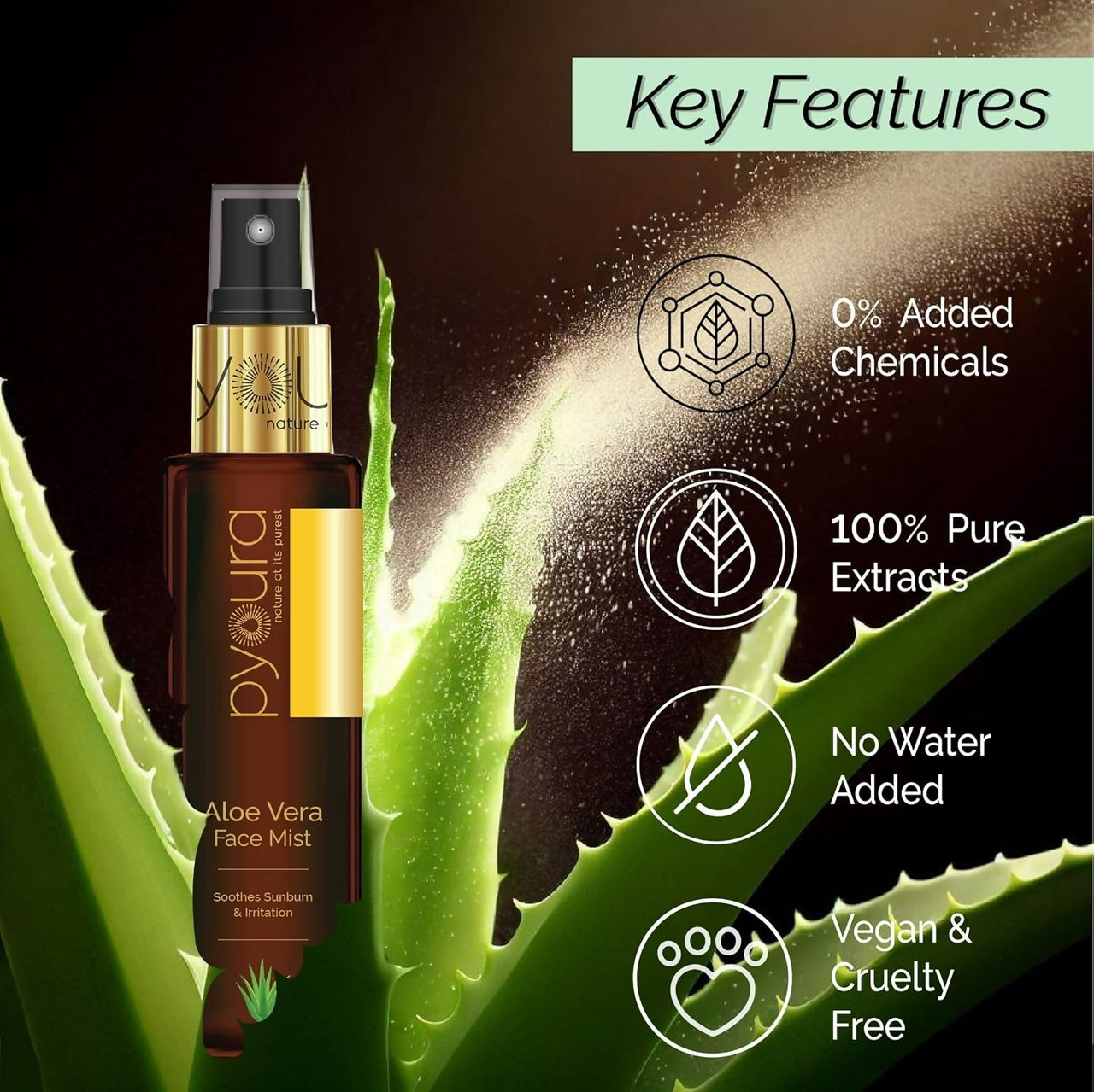 https://cdn.shopify.com/s/files/1/1857/6931/files/MYdfpUCbpV.png?v=1752703508