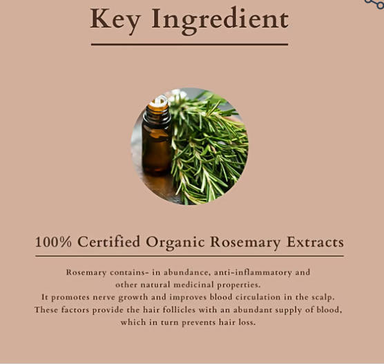 https://cdn.shopify.com/s/files/1/1857/6931/products/MZee1qEvVm.jpg?v=1648460296