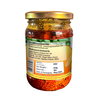 https://cdn.shopify.com/s/files/1/1857/6931/files/MangoP_2.jpg?v=1690442454