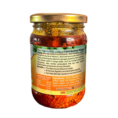 https://cdn.shopify.com/s/files/1/1857/6931/files/MangoP_3.jpg?v=1690442455