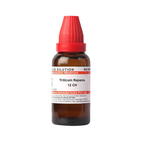 https://cdn.shopify.com/s/files/1/1857/6931/products/MeBzfzXwpC.jpg?v=1640860099