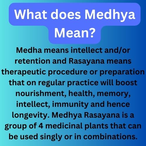 https://cdn.shopify.com/s/files/1/1857/6931/files/MeaningofAyurvedicMemoryBoosterandInttligenceenhancer.jpg?v=1778160427