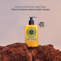 https://cdn.shopify.com/s/files/1/1857/6931/files/MhhQjS4E0d.png?v=1727180431