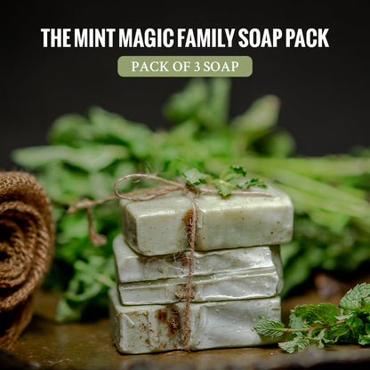 https://cdn.shopify.com/s/files/1/1857/6931/files/Mintfamilysoapwebsiteimage-1.jpg?v=1759686820