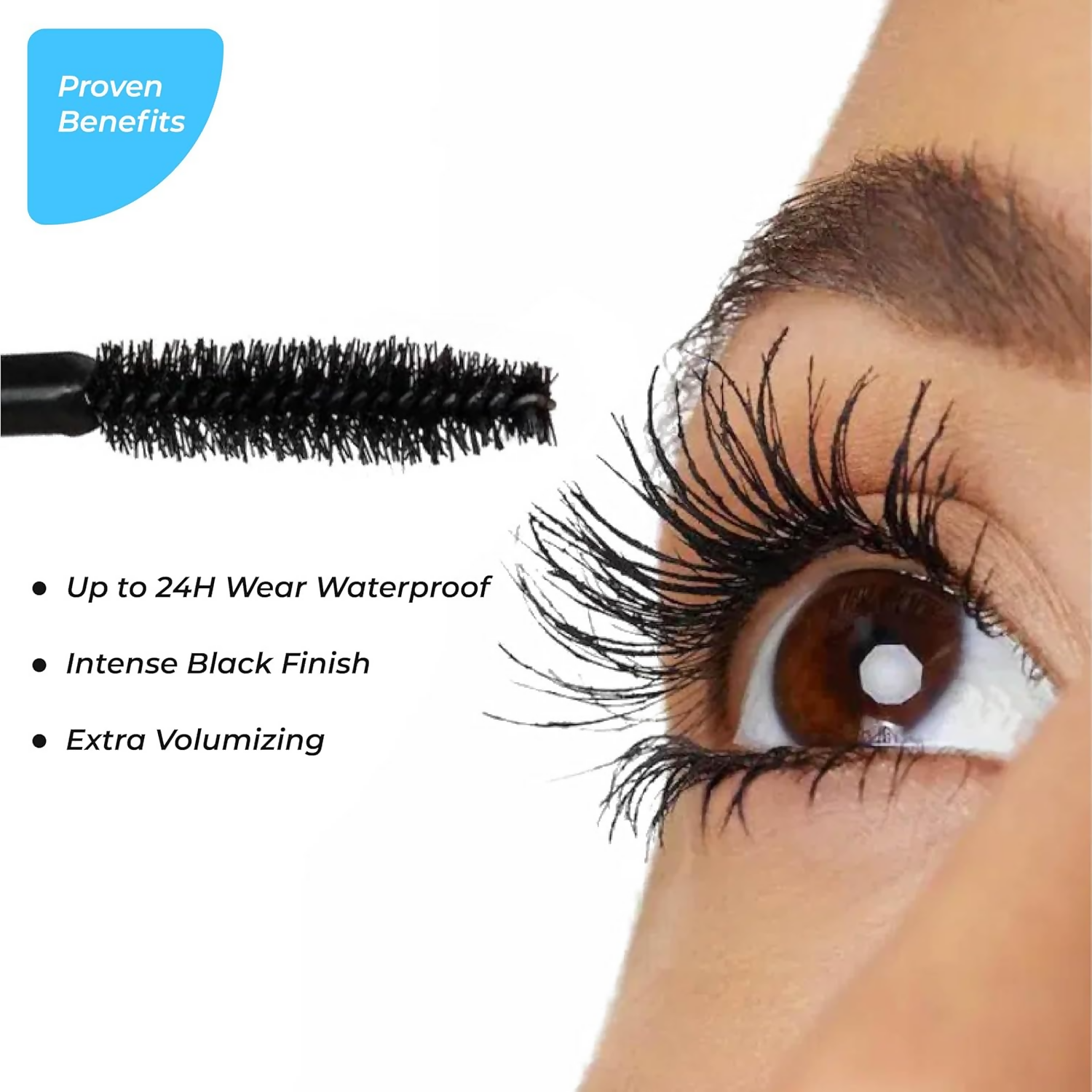 https://cdn.shopify.com/s/files/1/1857/6931/files/MjhdmwJgkm.png?v=1744183518