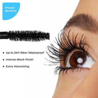 https://cdn.shopify.com/s/files/1/1857/6931/files/MjhdmwJgkm.png?v=1744183518