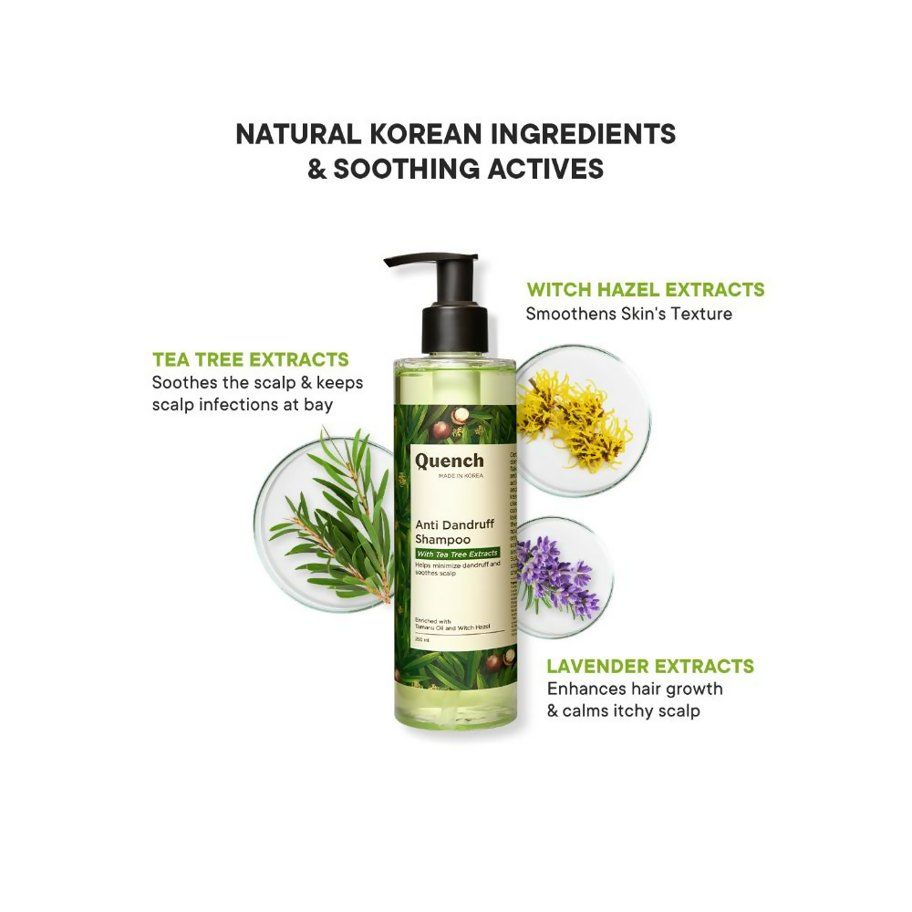 https://cdn.shopify.com/s/files/1/1857/6931/files/Mmb98aM202.png?v=1726124994