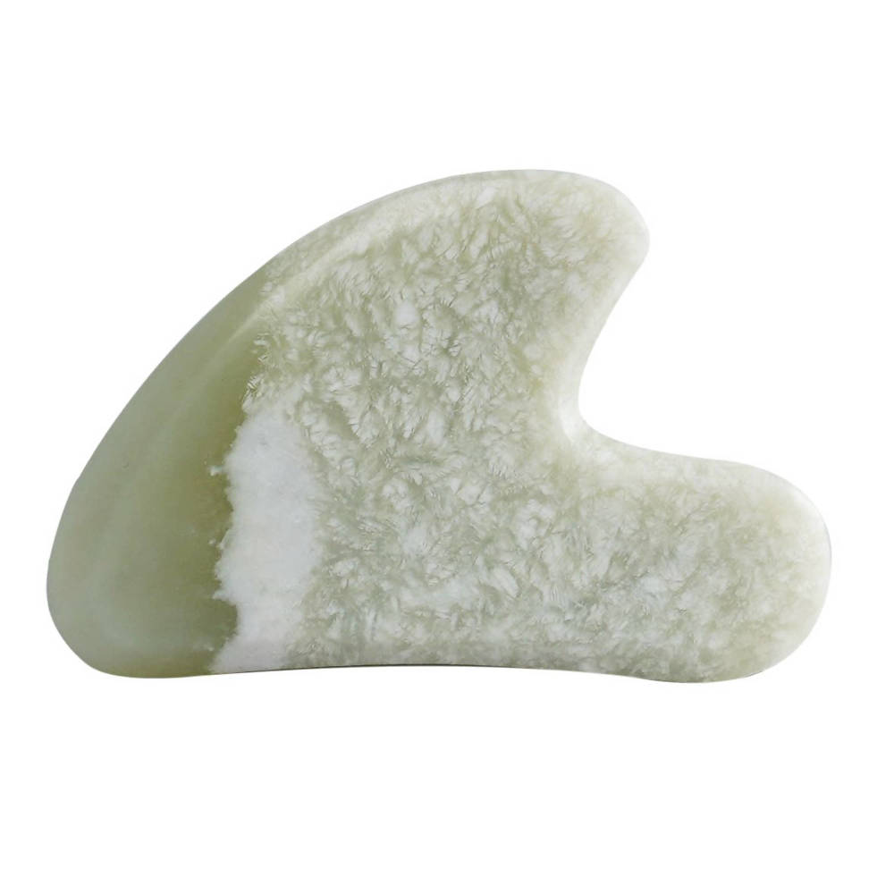 https://cdn.shopify.com/s/files/1/1857/6931/products/Mne1SCx4e6.jpg?v=1630672242