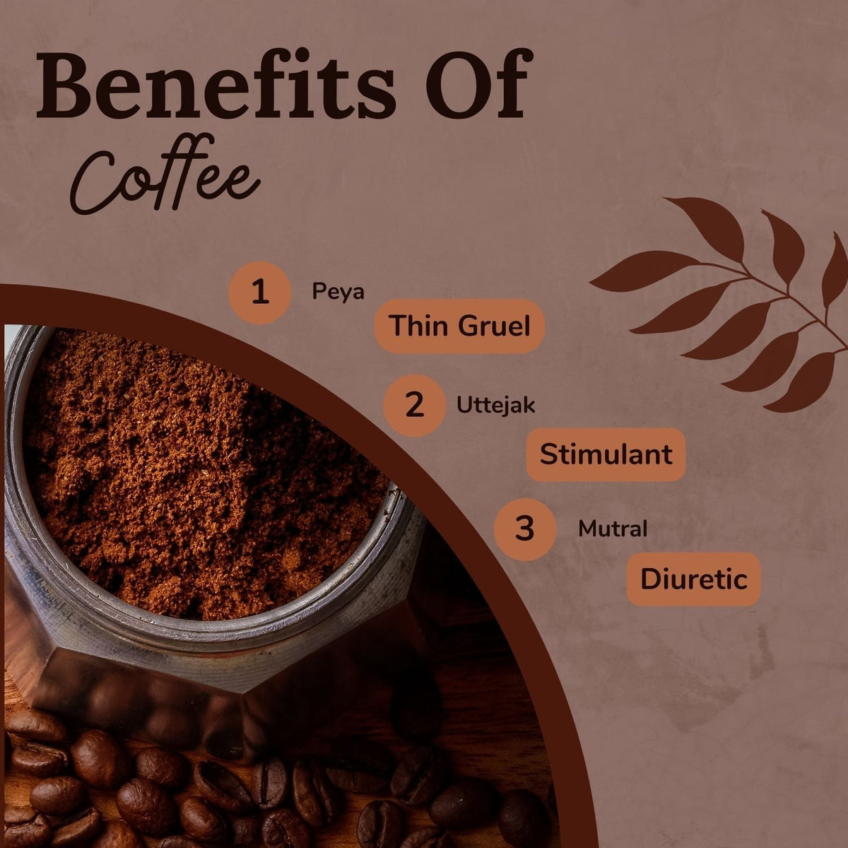 https://cdn.shopify.com/s/files/1/1857/6931/files/Mostpreferredherbcoffee.jpg?v=1778160450