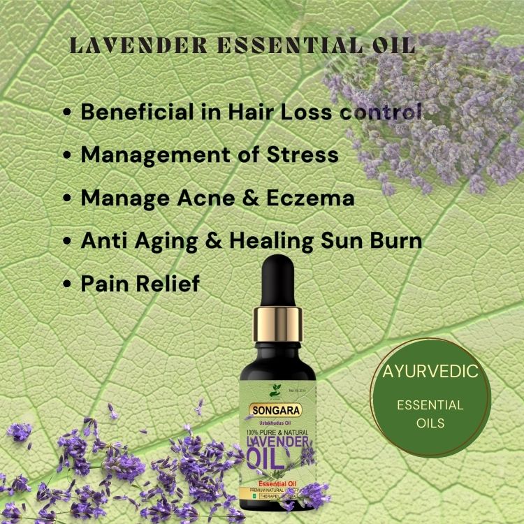 https://cdn.shopify.com/s/files/1/1857/6931/files/MostsoldLavenderEssentialOil.jpg?v=1778160340
