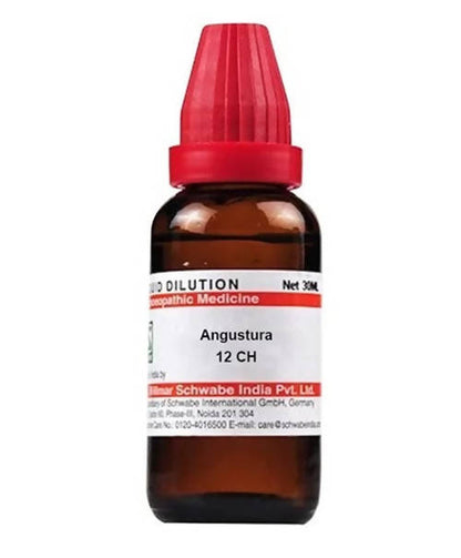 https://cdn.shopify.com/s/files/1/1857/6931/products/Mqd1Wv5XeC.jpg?v=1640930279
